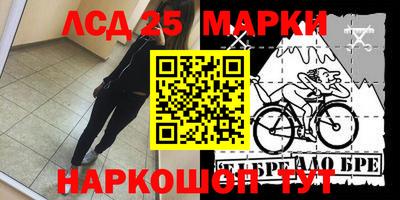 гидропоника Тара