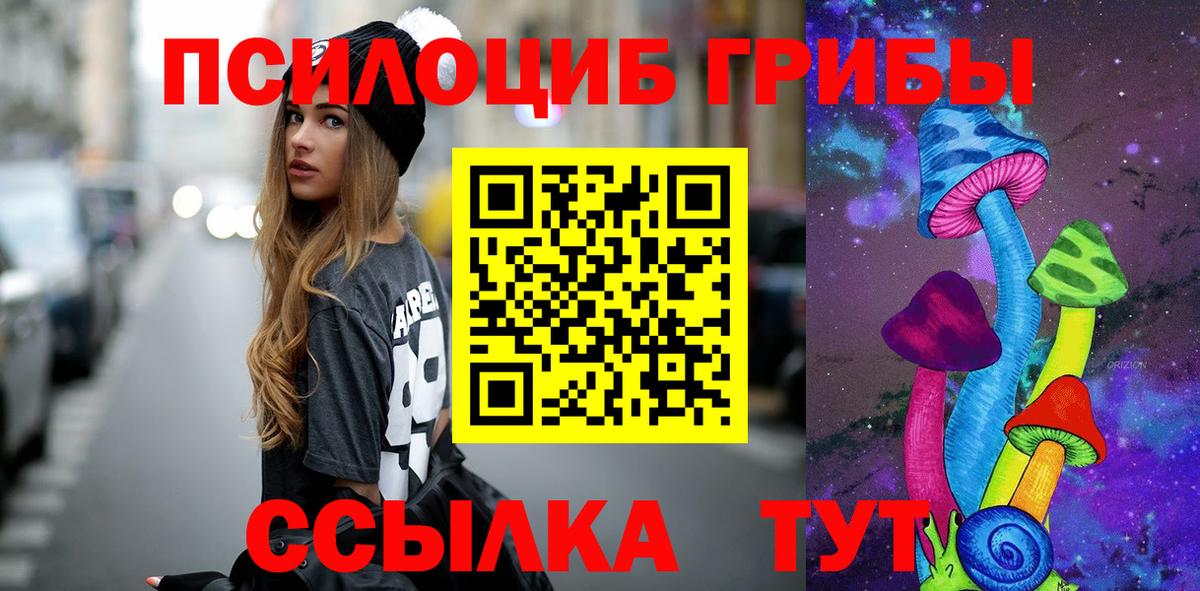 Псилоцибиновые грибы прущие грибы Тавда