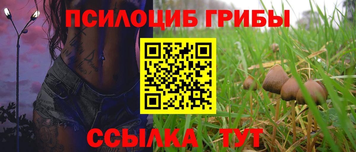 Тавда  Галлюциногенные грибы GOLDEN TEACHER  Псилоцибиновые грибы Psilocybe  Вход с VPN 