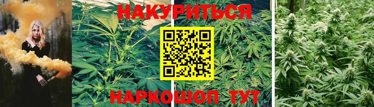 Тавда  Бошки Шишки семена  Бошки Шишки Ganja  Бошки Шишки Ganja  Бошки марихуана VHQ  Вход с VPN 